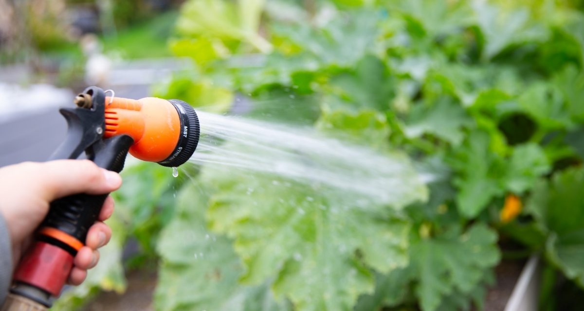 The Benefits of Installing an Outdoor Garden Tap