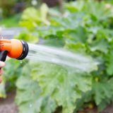 garden taps installed